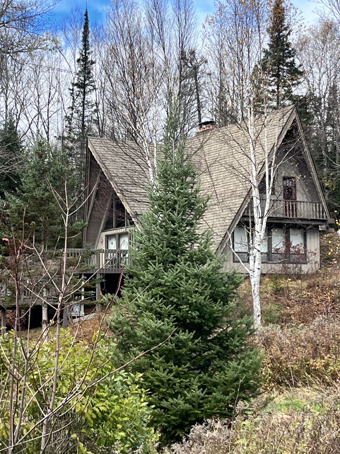 The A-frame behind evergreens on a crisp fall day
