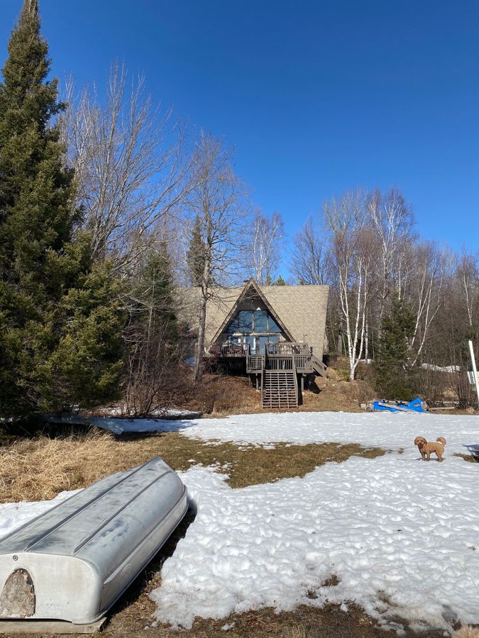 The cabin in late-winter snow, boats out and a dog on the lawn